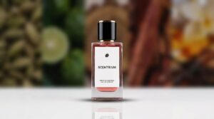 SCENTRIUM MR SEXY Premium Inspired Eau De Parfum Malaysia