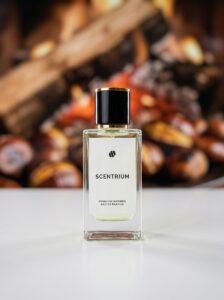SCENTRIUM FIREWOOD Premium Inspired Eau De Parfum Malaysia