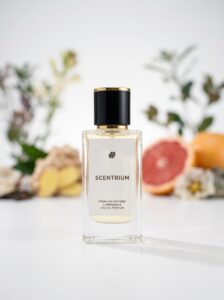 SCENTRIUM IM MEN Premium Inspired Eau De Parfum Malaysia