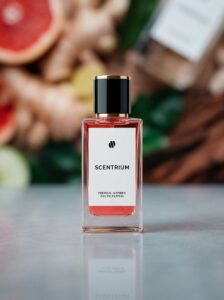 SCENTRIUM BACHELOR Premium Inspired Eau De Parfum Malaysia